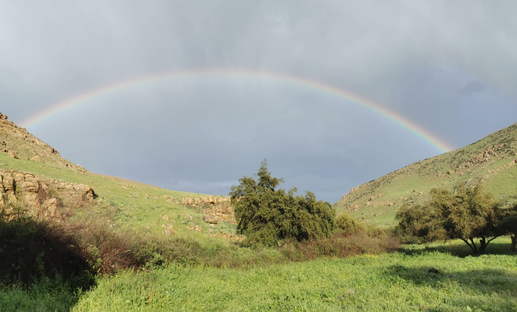 Fasayel's Valley