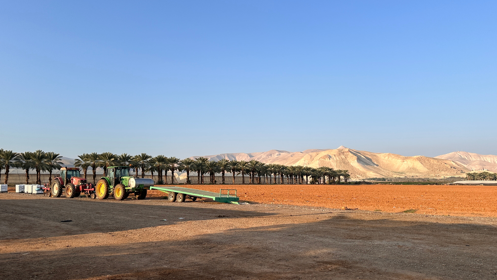 Tractors at rest, palms lining the field edge, the Jordanian hills beyond.