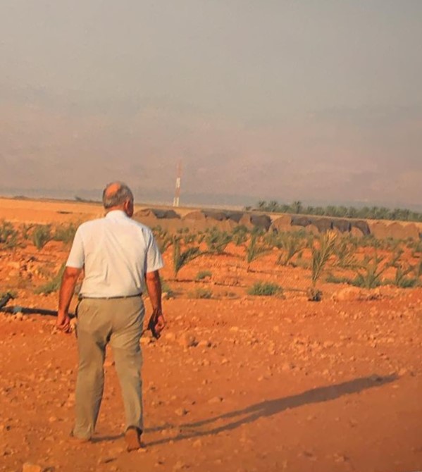 Saad Walks the Young Palms