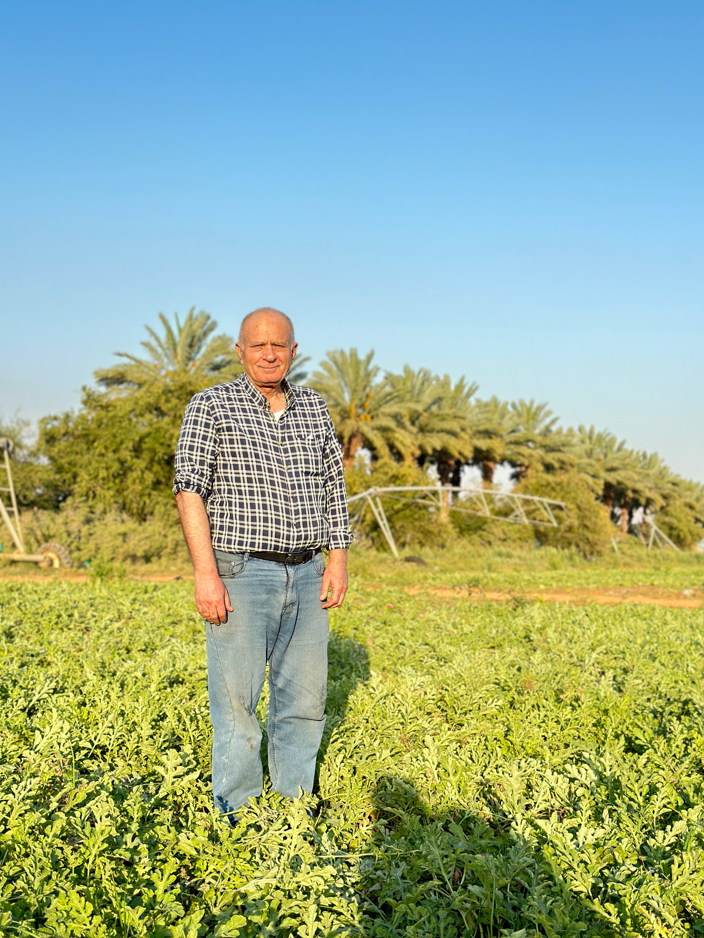 Saad Al-Nimer in the watermelon field — the center-pivot and Medjoul palms behind.