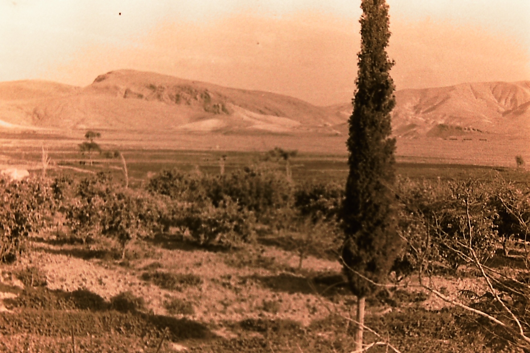 Fasayel landscape — orchards and hills during the modernization era.
