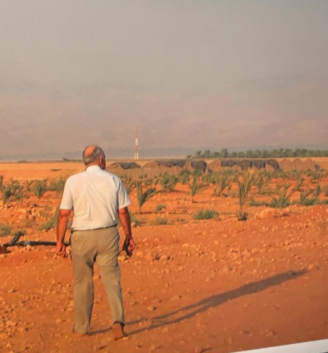 Saad walking the land in the early years — young Medjoul shoots taking root.