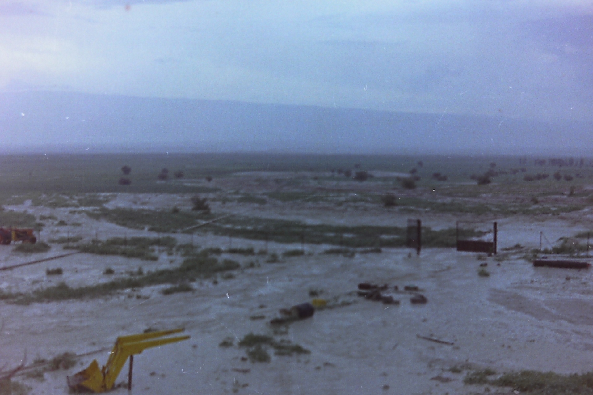 Fasayel's open land in the era of Fahmi's sons — greenery returning to the valley, 1960s–70s.