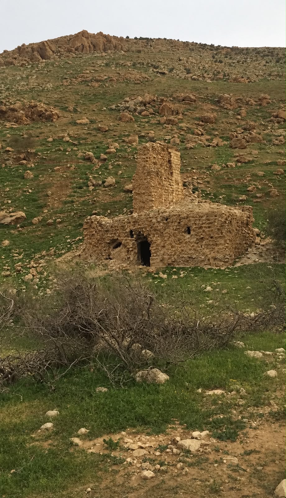 Qasem Al-Nimer's 150-year-old stone wheat mill at Ras Al-Ein, still standing on the hillside above Fasayel.