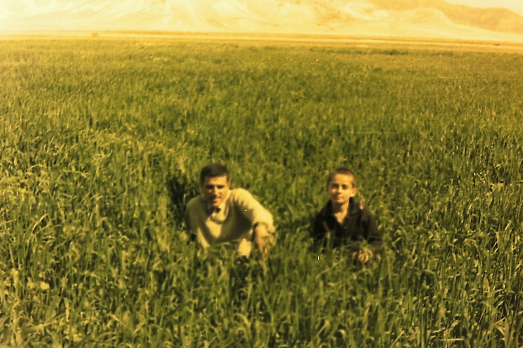 Two boys in the Fasayel wheat — Saad Al-Nimer on the right.