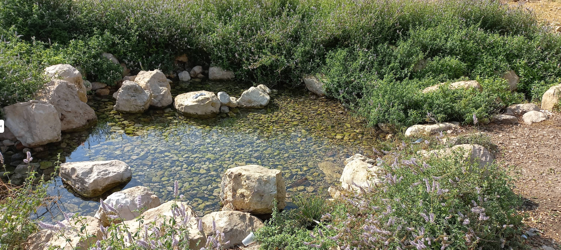 Fasayel Spring