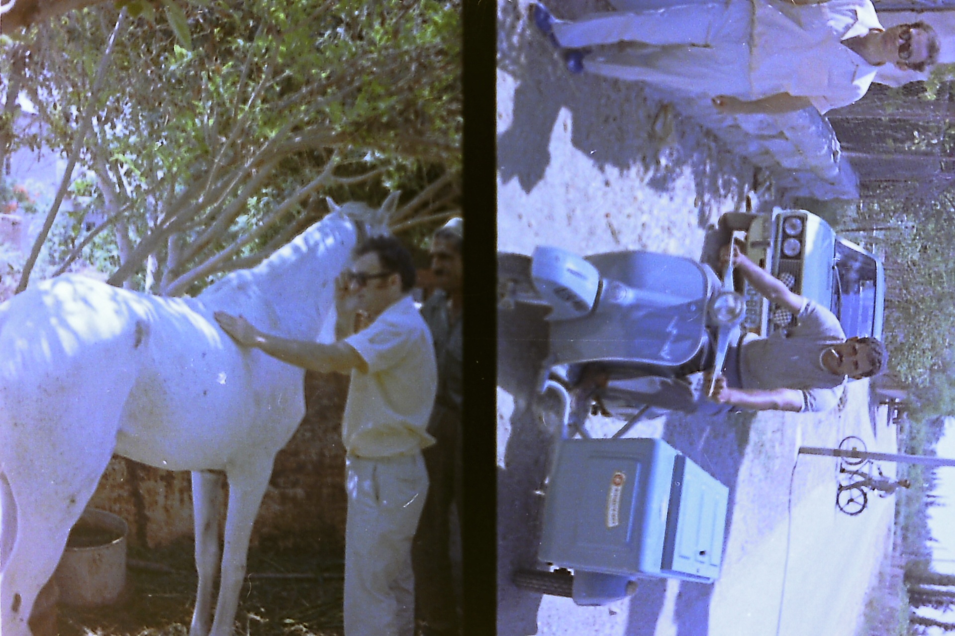 Down the orchard lane — daily life in the valley, Vespa and all.