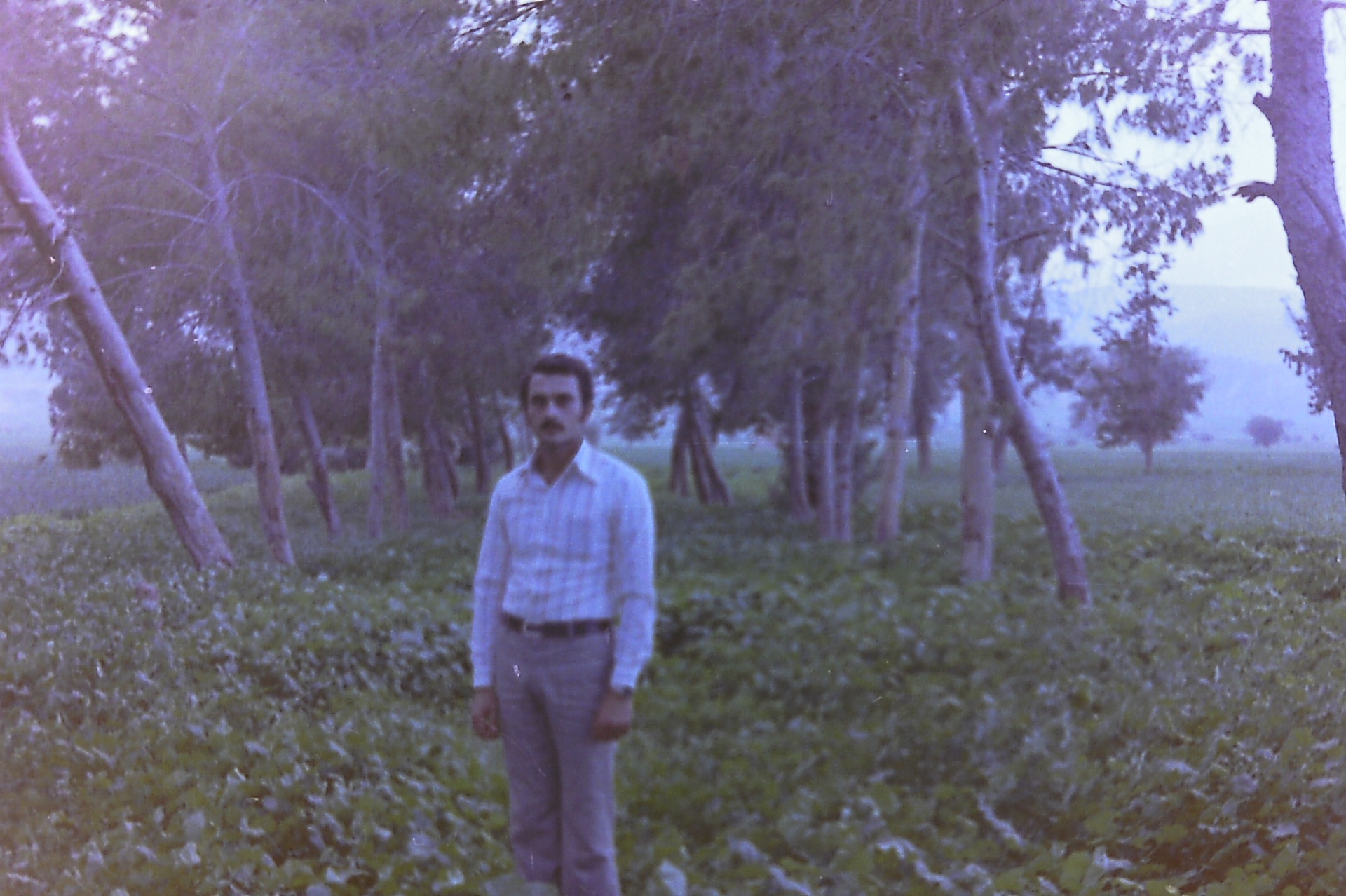 Samsam Al-Nimer standing in the orchard fields of Fasayel.