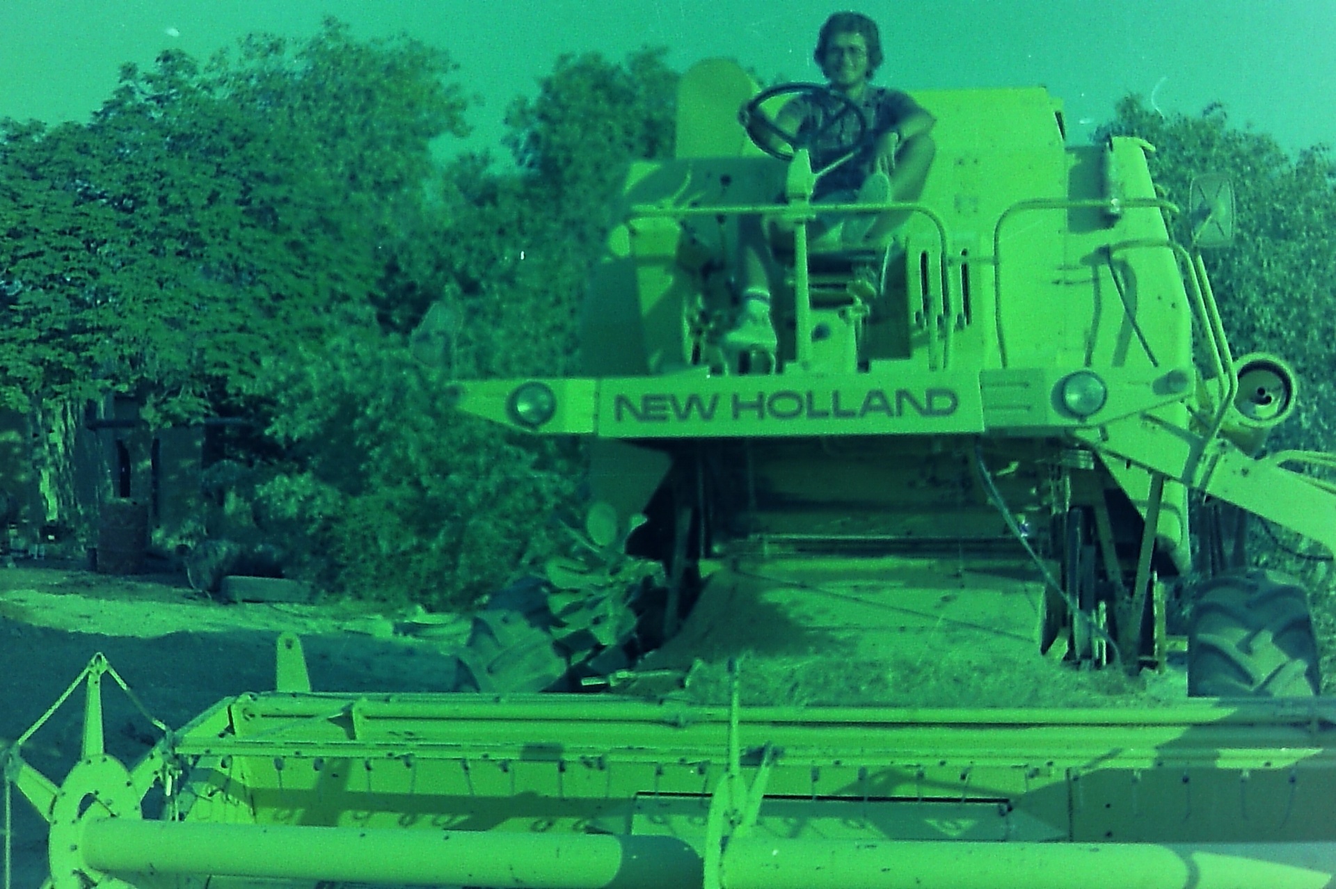 Saad Al-Nimer riding the New Holland combine during a Fasayel wheat harvest.