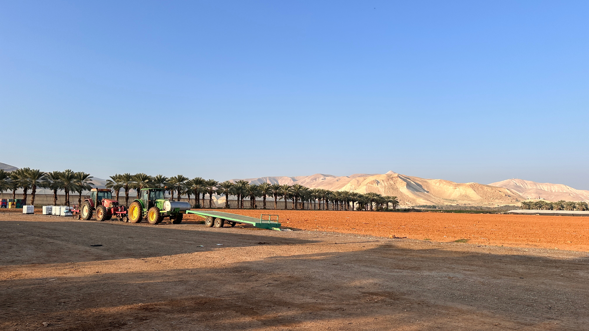 Watermelon land being prepared for planting — tractors at the edge, Medjoul palms and the Jordan Valley hills beyond.