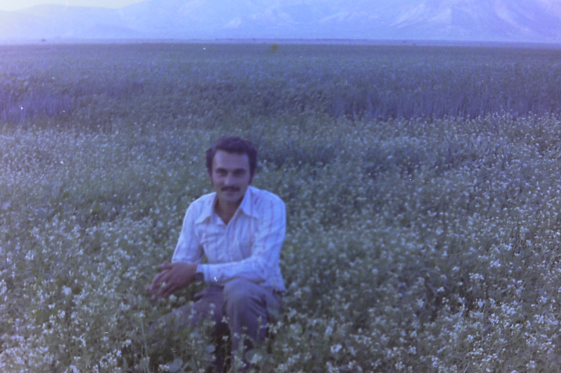 Samsam Al-Nimer in the Fasayel wheat fields — a young man, day and night, 1970s.